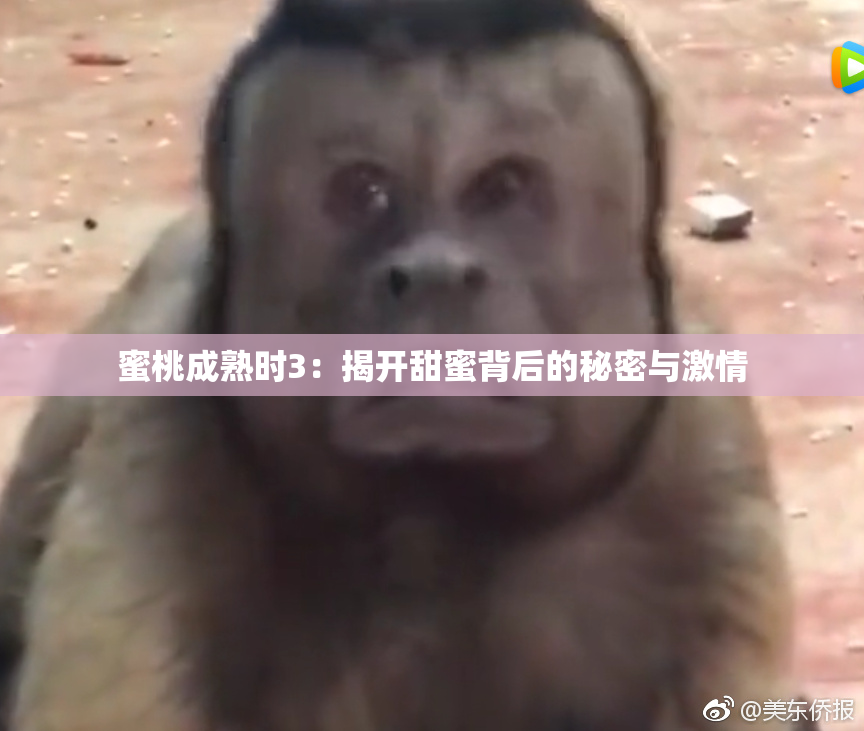 蜜桃成熟时3：揭开甜蜜背后的秘密与激情
