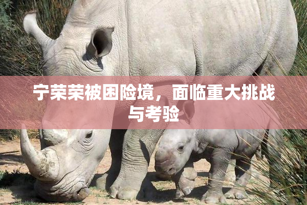 宁荣荣被困险境，面临重大挑战与考验