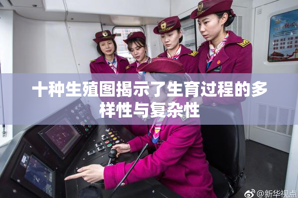 十种生殖图揭示了生育过程的多样性与复杂性