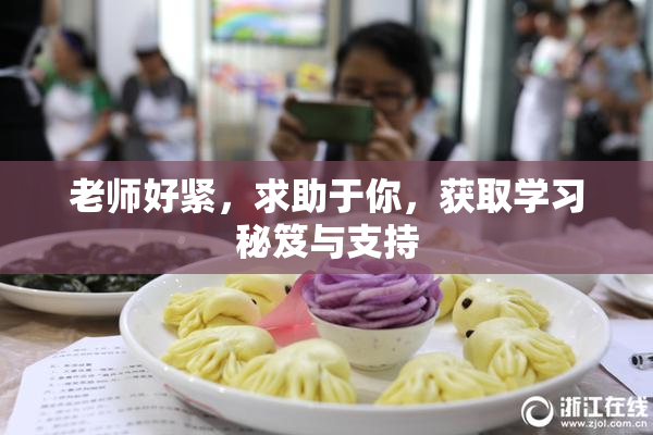 老师好紧，求助于你，获取学习秘笈与支持
