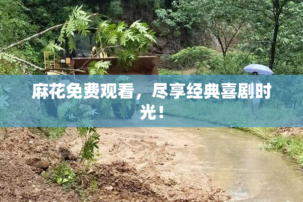 麻花免费观看，尽享经典喜剧时光！