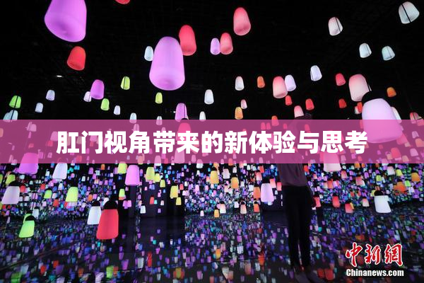 肛门视角带来的新体验与思考