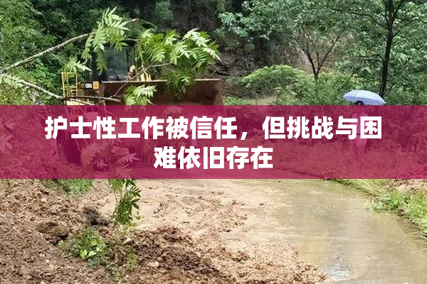 护士性工作被信任，但挑战与困难依旧存在