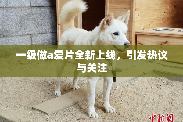 一级做a爱片全新上线，引发热议与关注