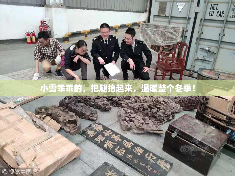 小雪乖乖的，把腿抬起来，温暖整个冬季！