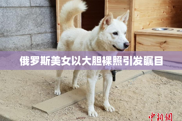 俄罗斯美女以大胆裸照引发瞩目