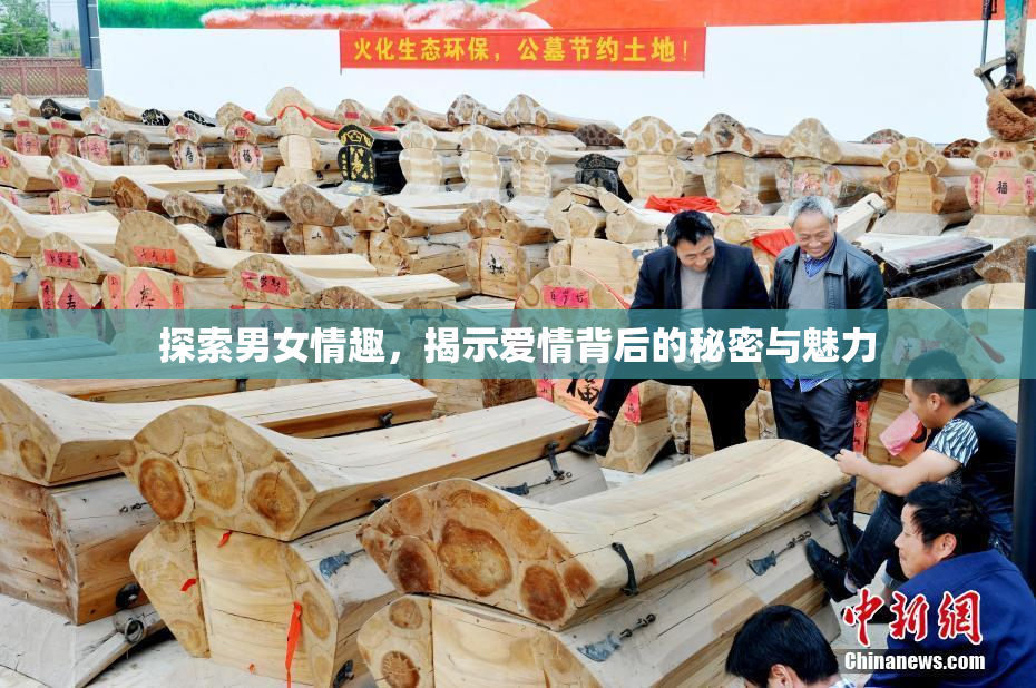 探索男女情趣，揭示爱情背后的秘密与魅力