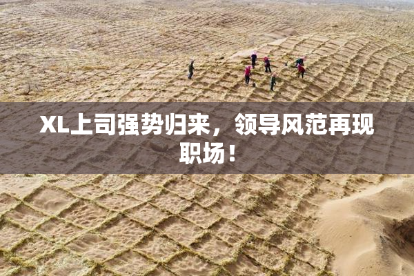 XL上司强势归来，领导风范再现职场！