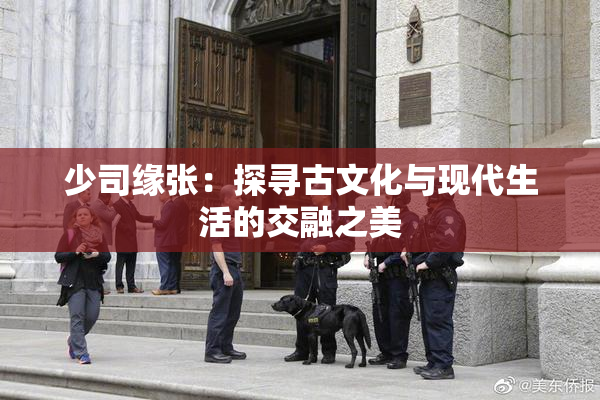 少司缘张：探寻古文化与现代生活的交融之美