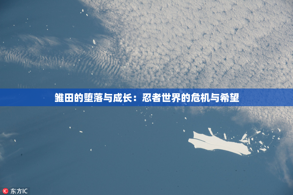 雏田的堕落与成长：忍者世界的危机与希望