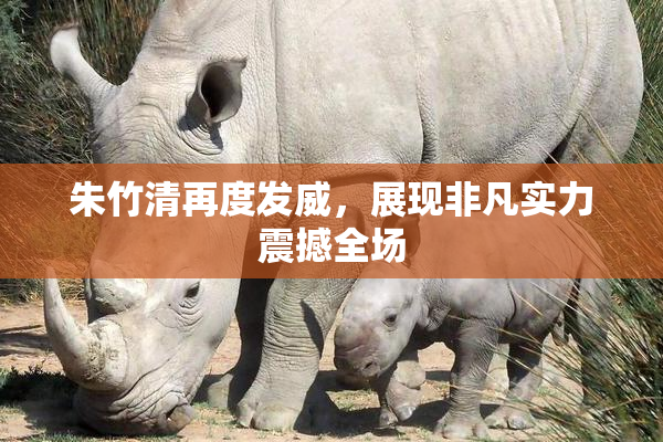 朱竹清再度发威，展现非凡实力震撼全场