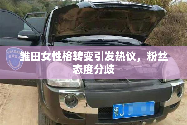 雏田女性格转变引发热议，粉丝态度分歧