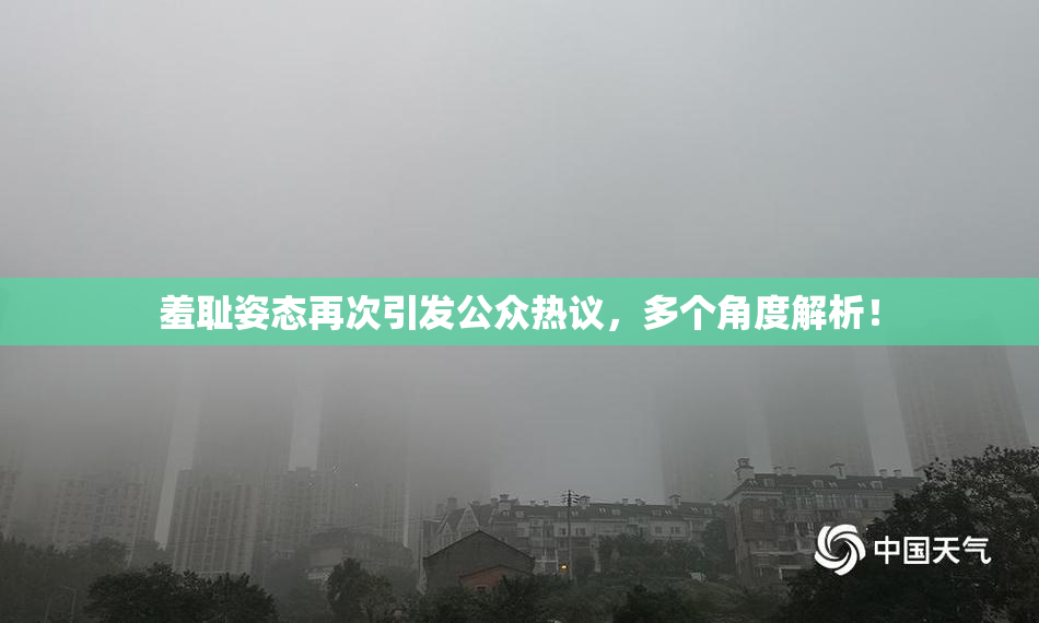 羞耻姿态再次引发公众热议，多个角度解析！