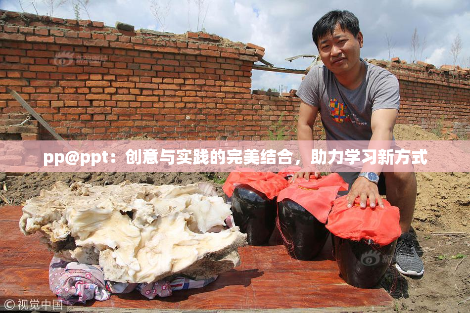 pp@ppt：创意与实践的完美结合，助力学习新方式