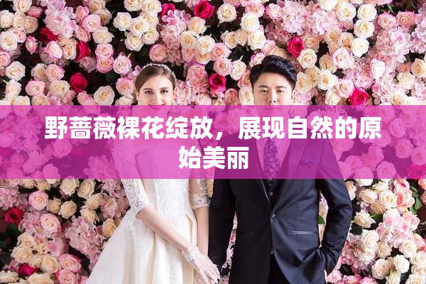 野蔷薇裸花绽放，展现自然的原始美丽