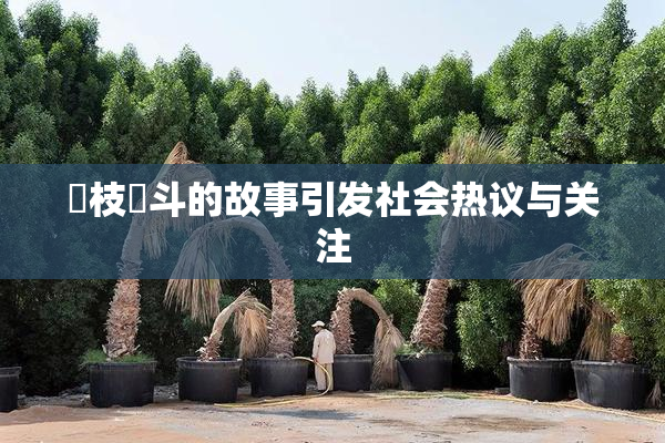 狛枝凪斗的故事引发社会热议与关注