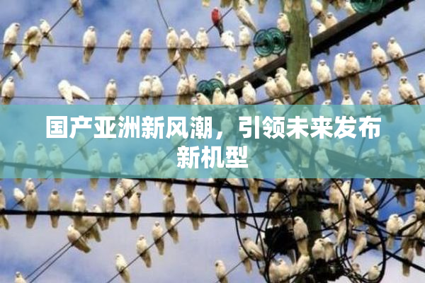国产亚洲新风潮，引领未来发布新机型