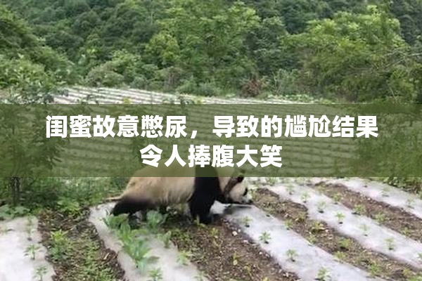 闺蜜故意憋尿，导致的尴尬结果令人捧腹大笑