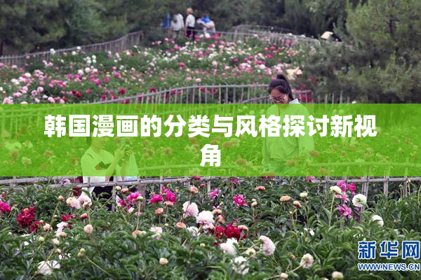 韩国漫画的分类与风格探讨新视角