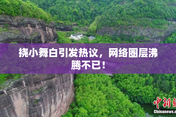 挠小舞白引发热议，网络圈层沸腾不已！
