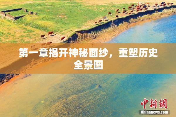 第一章揭开神秘面纱，重塑历史全景图