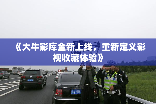 《大牛影库全新上线，重新定义影视收藏体验》