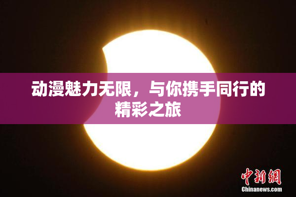 动漫魅力无限，与你携手同行的精彩之旅