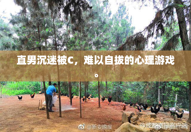 直男沉迷被C，难以自拔的心理游戏。