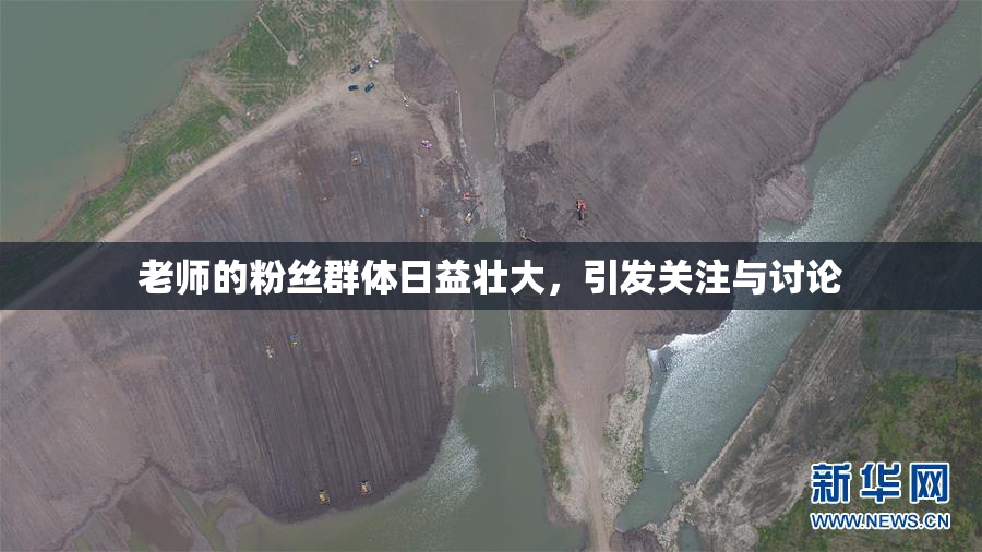 老师的粉丝群体日益壮大，引发关注与讨论
