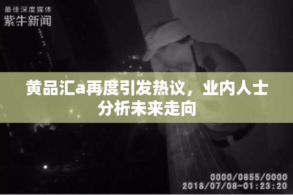 黄品汇a再度引发热议，业内人士分析未来走向