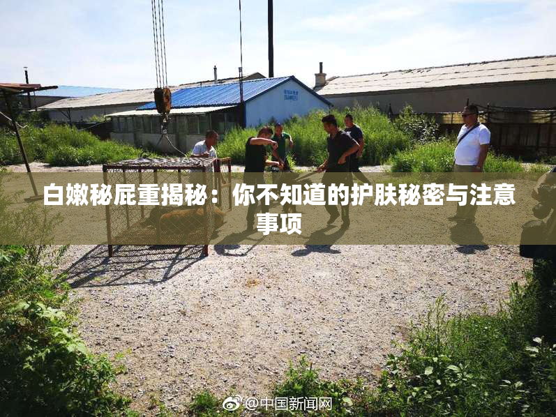 白嫩秘屁重揭秘：你不知道的护肤秘密与注意事项