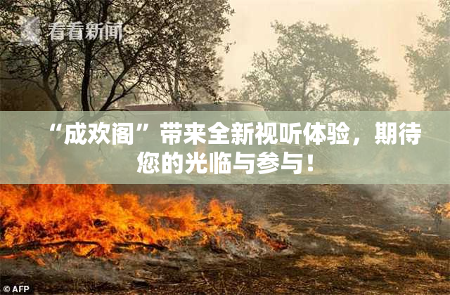 “成欢阁”带来全新视听体验，期待您的光临与参与！