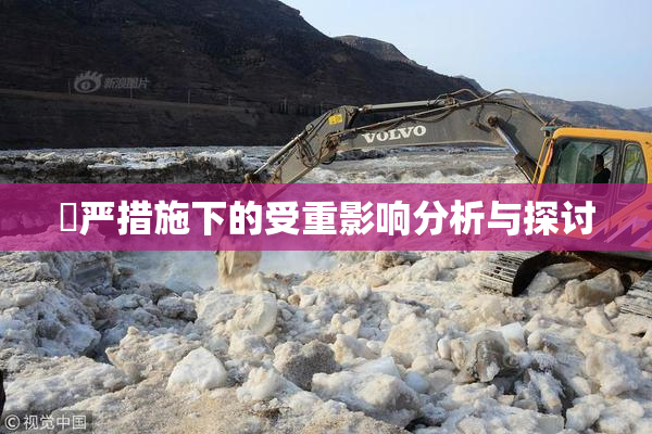 囯严措施下的受重影响分析与探讨