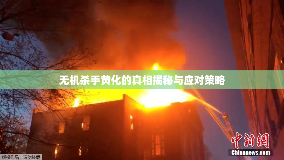 无机杀手黄化的真相揭秘与应对策略