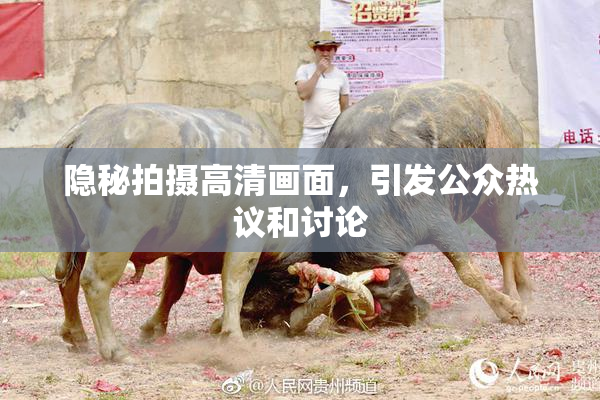 隐秘拍摄高清画面，引发公众热议和讨论