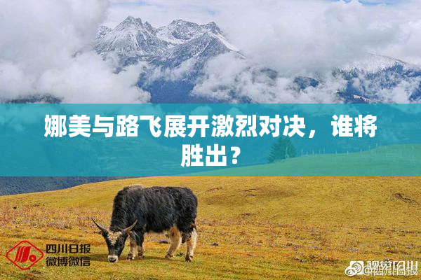 娜美与路飞展开激烈对决，谁将胜出？