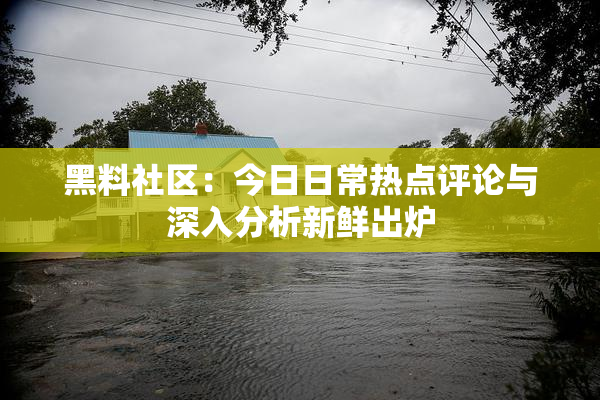 黑料社区：今日日常热点评论与深入分析新鲜出炉