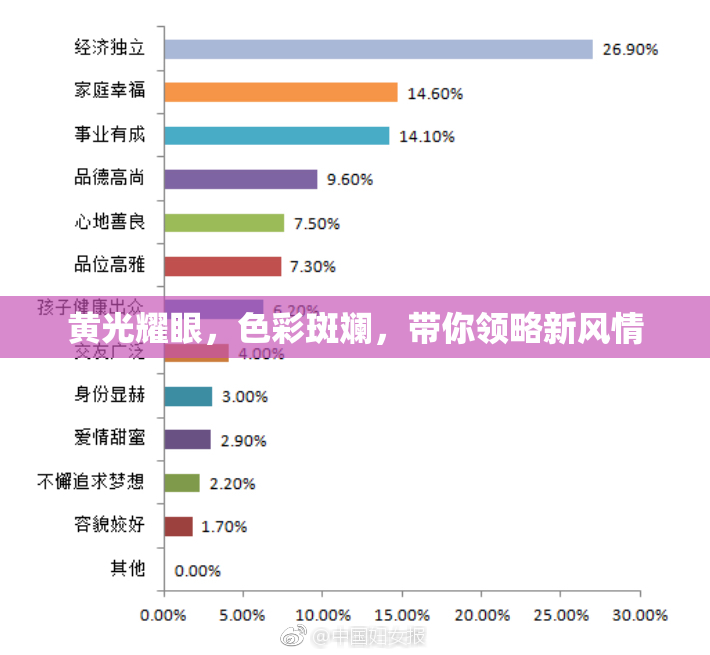 黄光耀眼，色彩斑斓，带你领略新风情