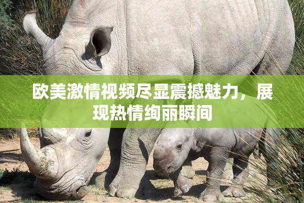 欧美激情视频尽显震撼魅力，展现热情绚丽瞬间