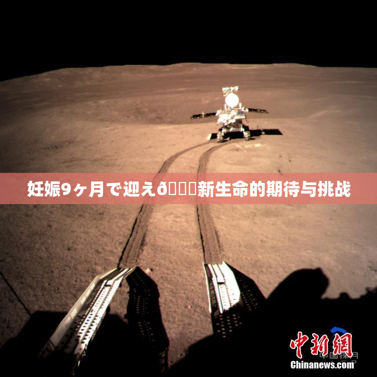妊娠9ヶ月で迎え🌃新生命的期待与挑战