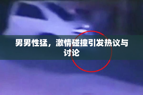男男性猛，激情碰撞引发热议与讨论