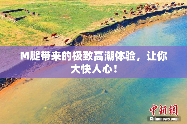 M腿带来的极致高潮体验，让你大快人心！