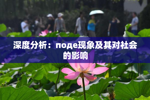 深度分析：поде现象及其对社会的影响