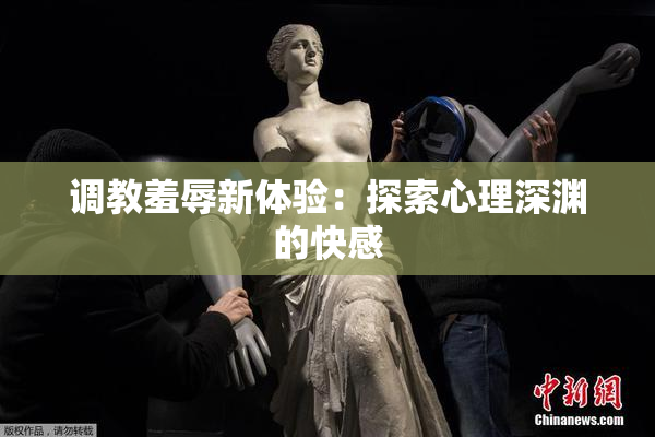 调教羞辱新体验：探索心理深渊的快感