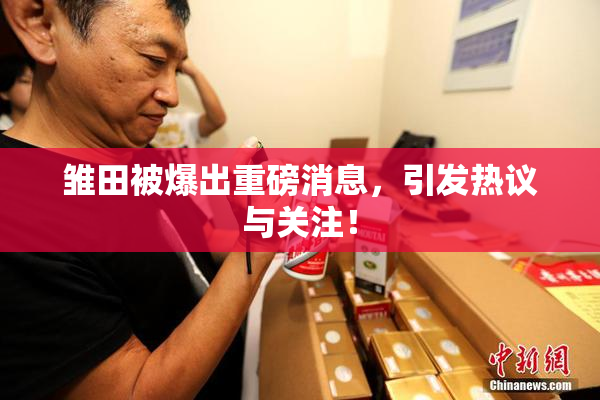 雏田被爆出重磅消息，引发热议与关注！