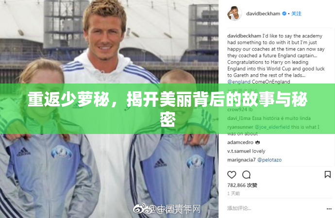 重返少萝秘，揭开美丽背后的故事与秘密