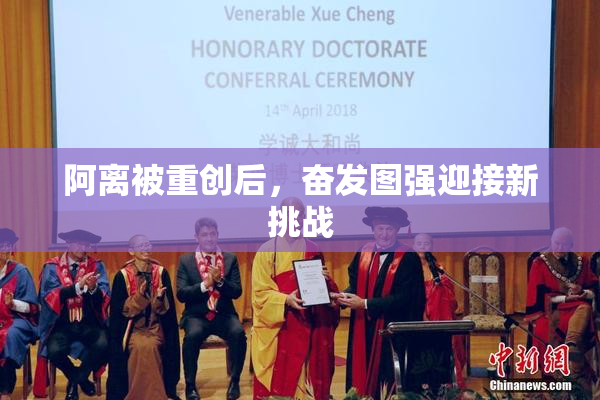 阿离被重创后，奋发图强迎接新挑战