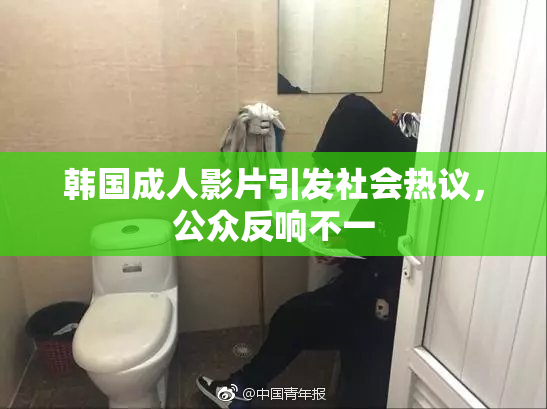 韩国成人影片引发社会热议，公众反响不一