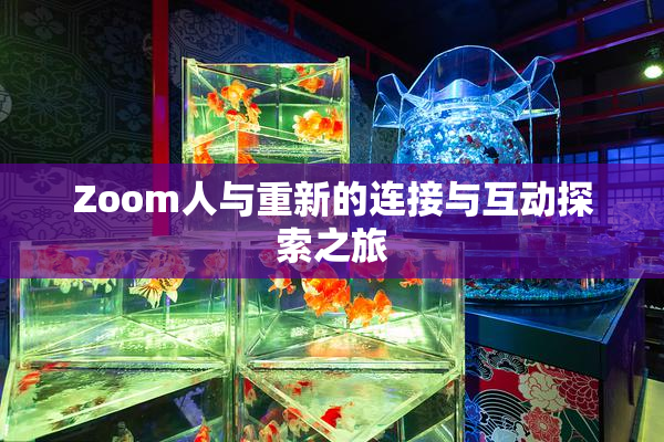 Zoom人与重新的连接与互动探索之旅