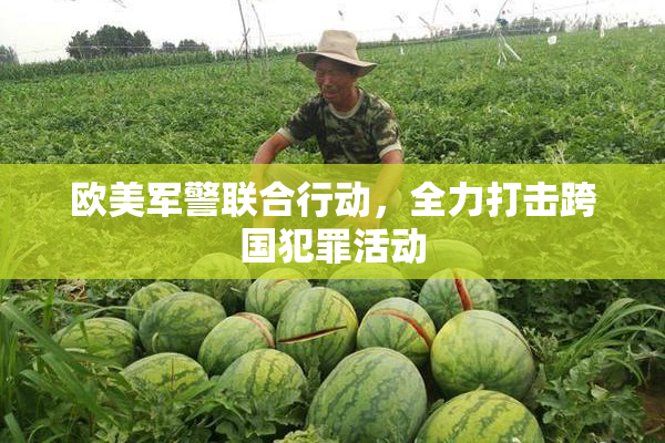 欧美军警联合行动，全力打击跨国犯罪活动